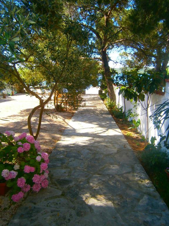Bed & Breakfast Pansion Rade Otel Pirovac Dış mekan fotoğraf